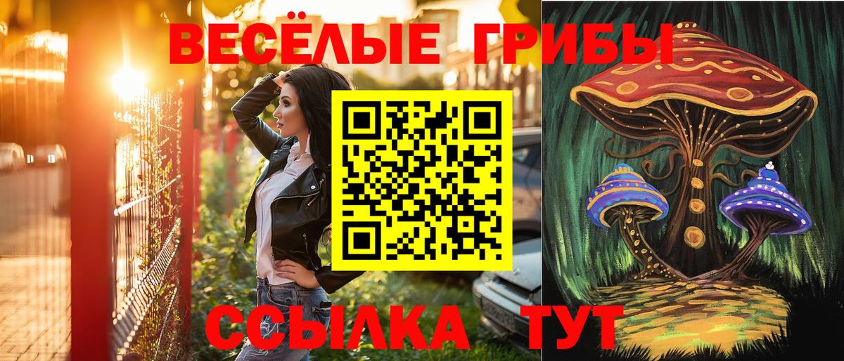 Амфетамин Михайловка