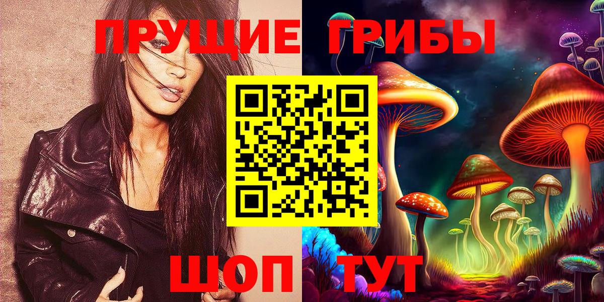 Михайловка  Псилоцибиновые грибы GOLDEN TEACHER  Вход с VPN  закладки  Галлюциногенные грибы Magic Shrooms 